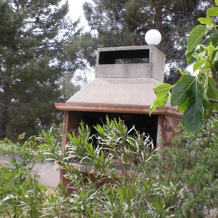 ויר Apartmani Vesna מראה חיצוני תמונה